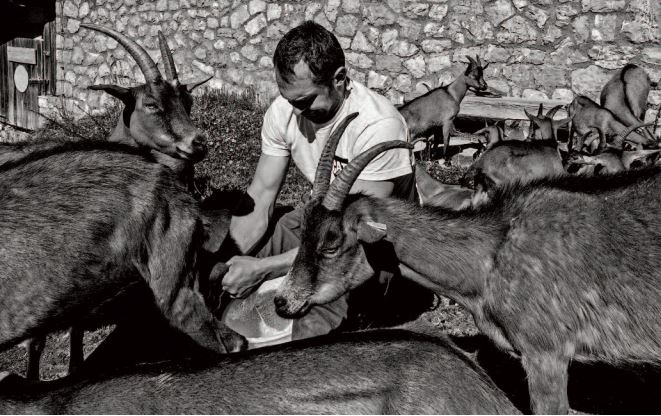 Vita nelle m, alghe friulane, foto di Renzo Bean